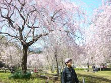 家族で真鶴・湯河原に小旅行