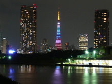 んっ？きょうの東京タワーって？