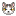 グラコロ初日にいただきます