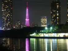 東京タワーとピンクリボン（乳がんについて）2009