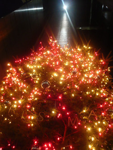 銀座ミキモトのクリスマスツリー