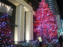 銀座で目を奪われる程のX’masツリー