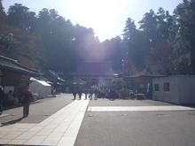 今年も初詣に行ってきました。