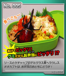 こんな愛情弁当だったら・・・p(´⌒｀q)