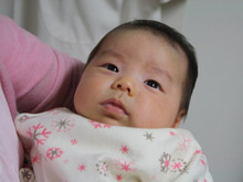 昨日、弟夫婦が来ました