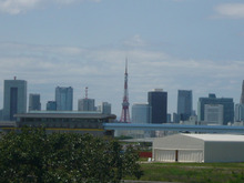 東京タワーどこまで離れてキレイに見えるか