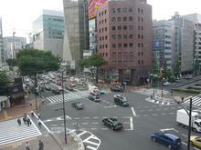 亜熱帯東京！(´Д｀；)