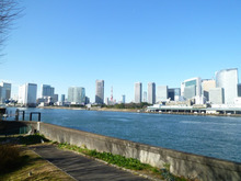 朝ゆっくりの出勤と築地ととや（鳥料理）