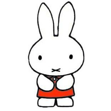 ミッフィーの秘密(・ x ・)