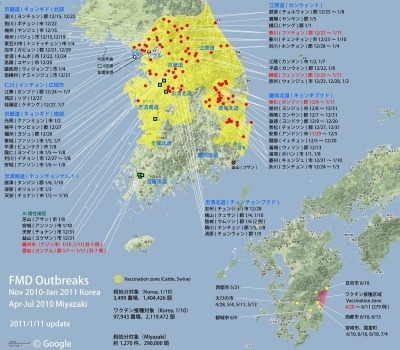 口蹄疫　韓国で爆発中(((゜д゜;)))