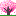 桜が咲いているのに～