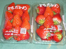 とちおとめだけとても安いのはなぜ？