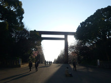 靖国神社・千鳥が淵の桜とお参りに行ってきました。