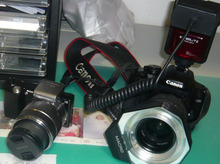 Canon EosKissとSony NEX-5