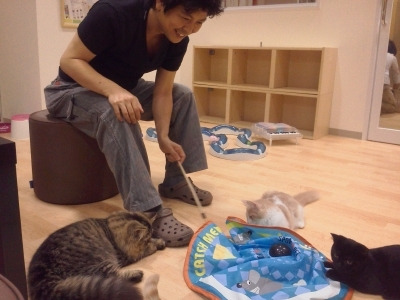 至福のときヾ(＠^▽^＠)ﾉ　猫さわり放題＠お台場