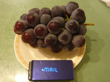 ピオーネの粒の大きさに感動するΣ(=°ω°=;ノ)ノ
