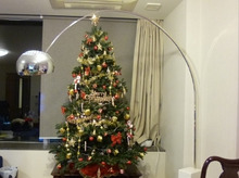 クリスマスツリーを出しました(≡^∇^≡)