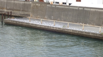 寒くなってきました(x_x；)