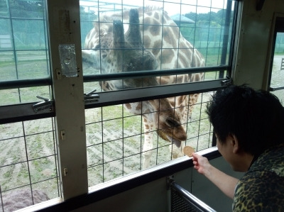 キリンにエサをあげてる写真があったので追加(;^ω^A