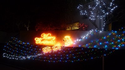 実家のイルミネーションが想像以上だった∑ヾ(￣0￣;ﾉ
