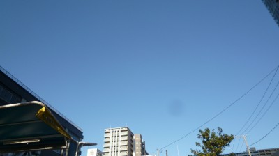 【選挙に行こう】決戦の朝、最後の最後にもう一言だけ(｀・ω・´)