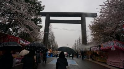 靖国神社に参拝し靖国の桜を見てきました。