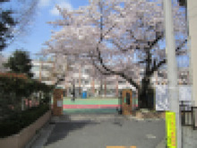 長男の入学式に行ってきました