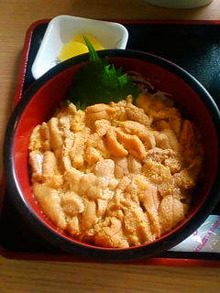 積丹半島のウニ丼