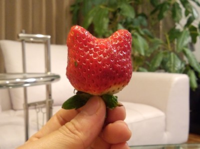 この感動を伝えたい(´,,・ω・,,｀)