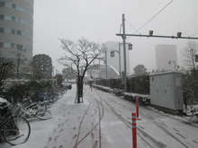 東京も雪　完全防備で