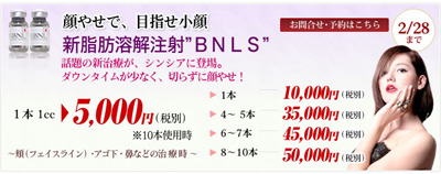 【シンシアのBNLSは安い！！】というわけで再発注になりました