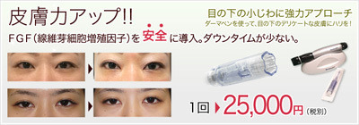 皮膚力アップ　　眼の下のつかれた皮膚に“気合”充填　　（安全なFGF導入）