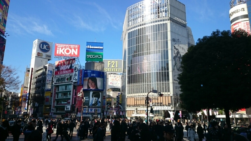 渋谷院への行き方&工事始まりました！