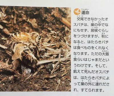 世の中って・・・(´；ω；)ブハッ