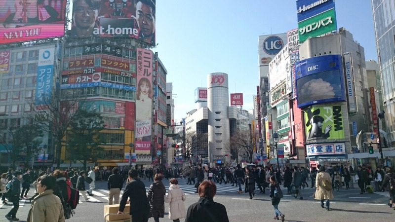 シンシア渋谷院 工事終了まであと１０日