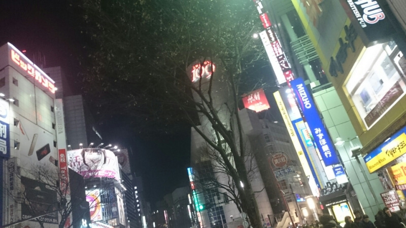 シンシア渋谷院が「らしく」なってきました