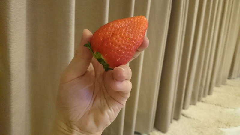 自分史上最大の！