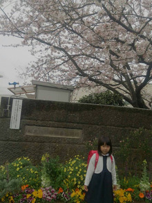 小学校入学式　　幼稚園入学式