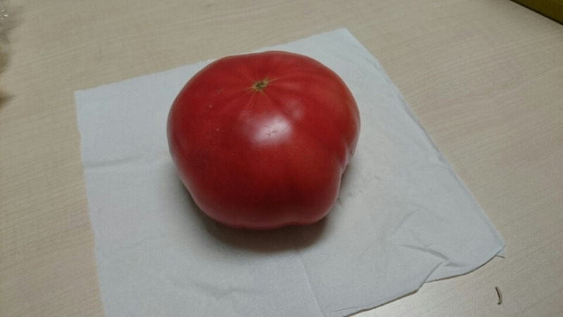 トマトが大きい、すごく大きい