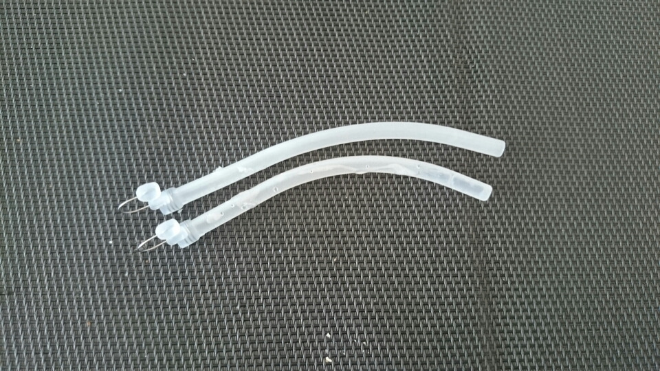 ナステント二日め