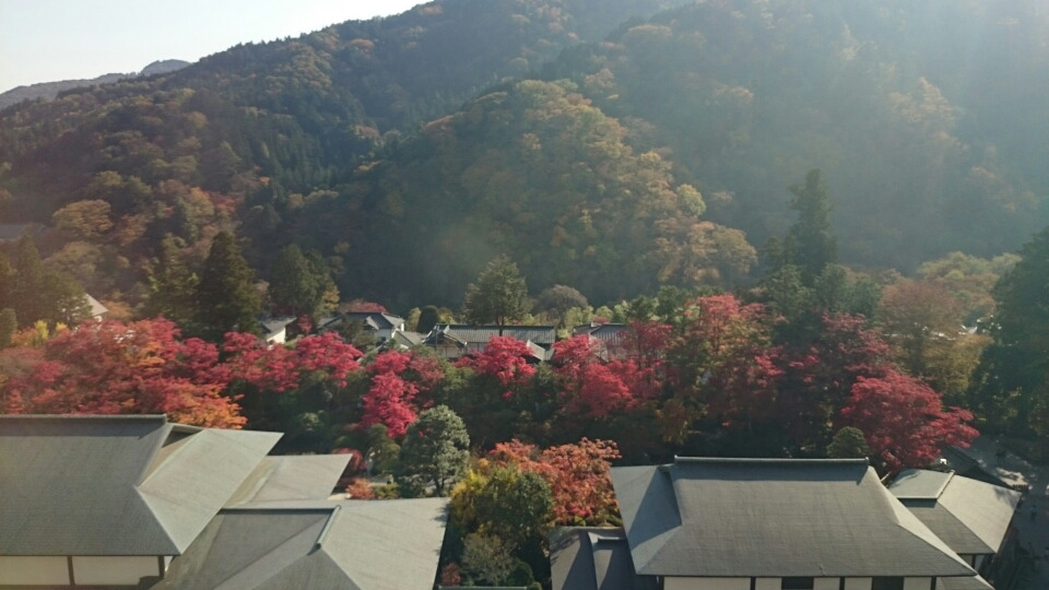 日光一人旅  その1