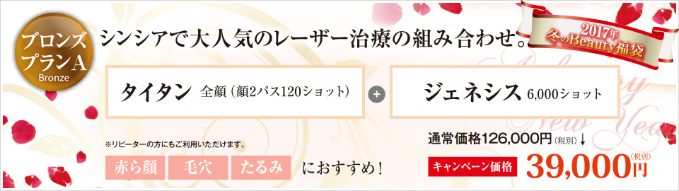 2017年1月の福袋ブロンズプラン　 今年は3種類