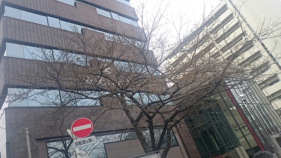 春まだき