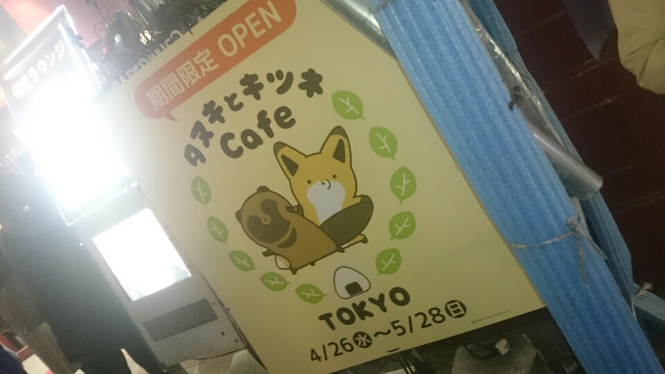 タヌキとキツネcafe