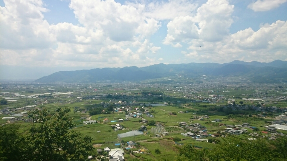ぶどうの丘