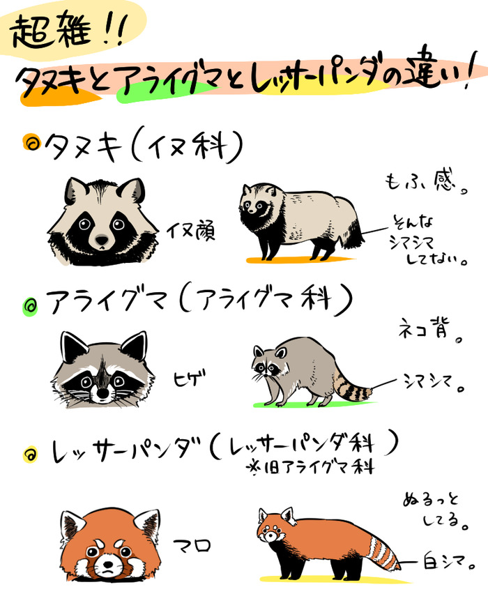 超雑だからこそよくわかる