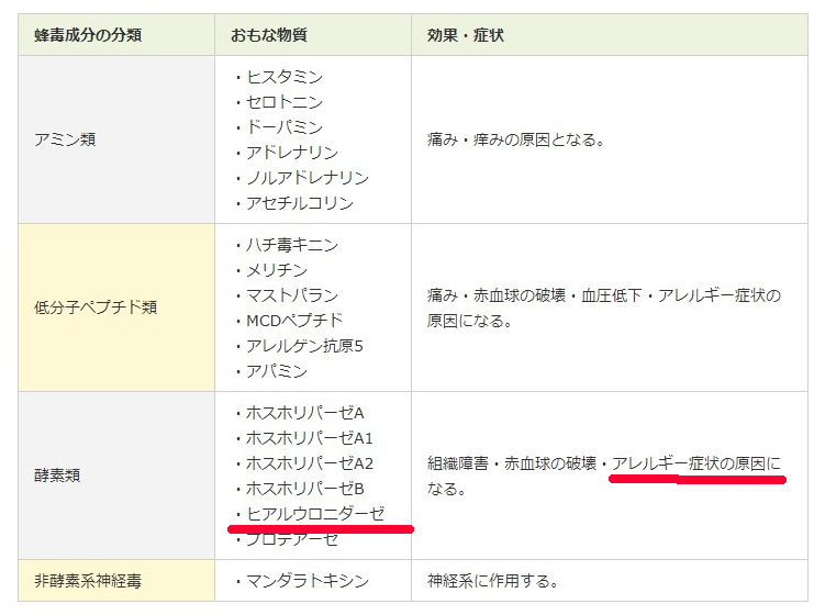 【注意喚起】ヒアルロニダーゼとハチ毒の共通点とは【アナフィラキシーショック】