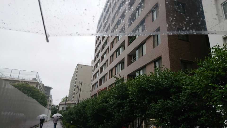 雨だけど大切な選挙だから