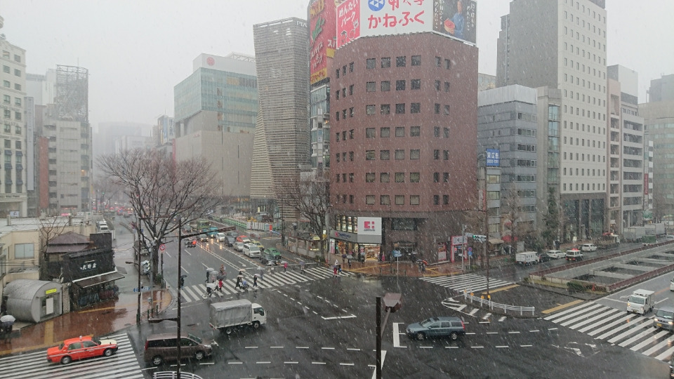雪 でおおわらわ