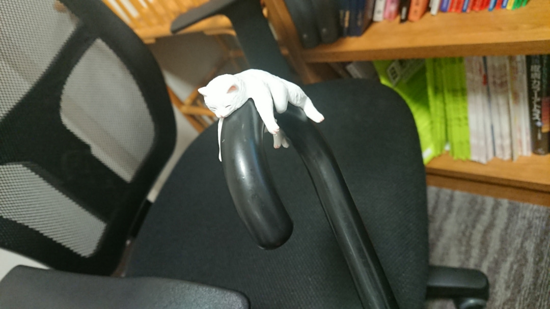 白猫六匹